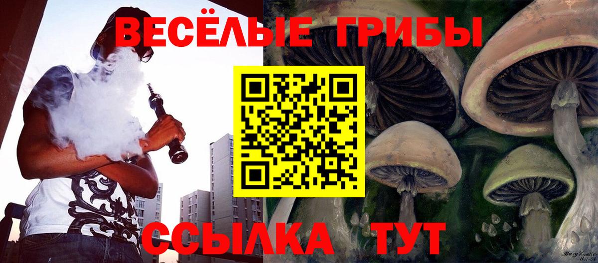 Псилоцибиновые грибы Cubensis Ефремов