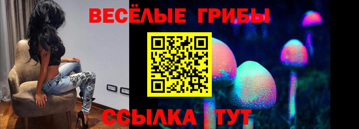Галлюциногенные грибы ЛСД  Галлюциногенные грибы GOLDEN TEACHER  Ефремов  где можно купить наркотик  Вход с VPN 